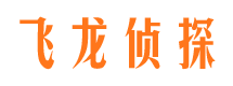 特克斯侦探